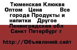 Тюменская Клюква Оптом › Цена ­ 200 - Все города Продукты и напитки » Другое   . Ленинградская обл.,Санкт-Петербург г.